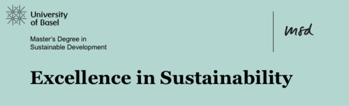 Excellence in Sustainability MSD 2010