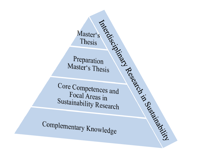 Module Structure MSD 2017